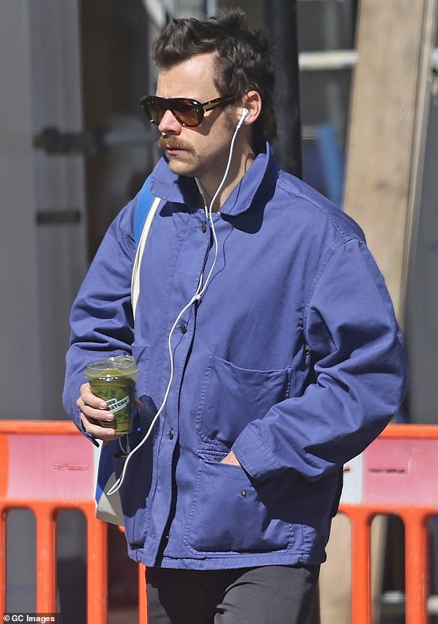 Harry Styles' staggering comeback plans revealed: From saucy liaisons to secret getaways, insiders tell JENNIFER RUBY exactly what the star has been up to, his next move... and why bosses are unhappy with him