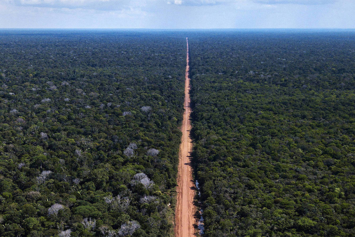 Brazil’s new licensing accord is a gateway to forest destruction via the BR-319 highway (commentary)