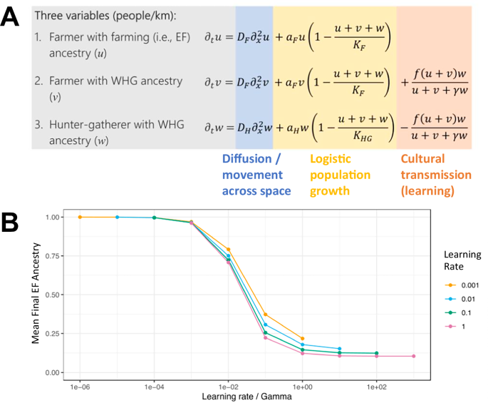 Modeling the European Neolithic expansion suggests predominant within-group mating and limited cultural transmission