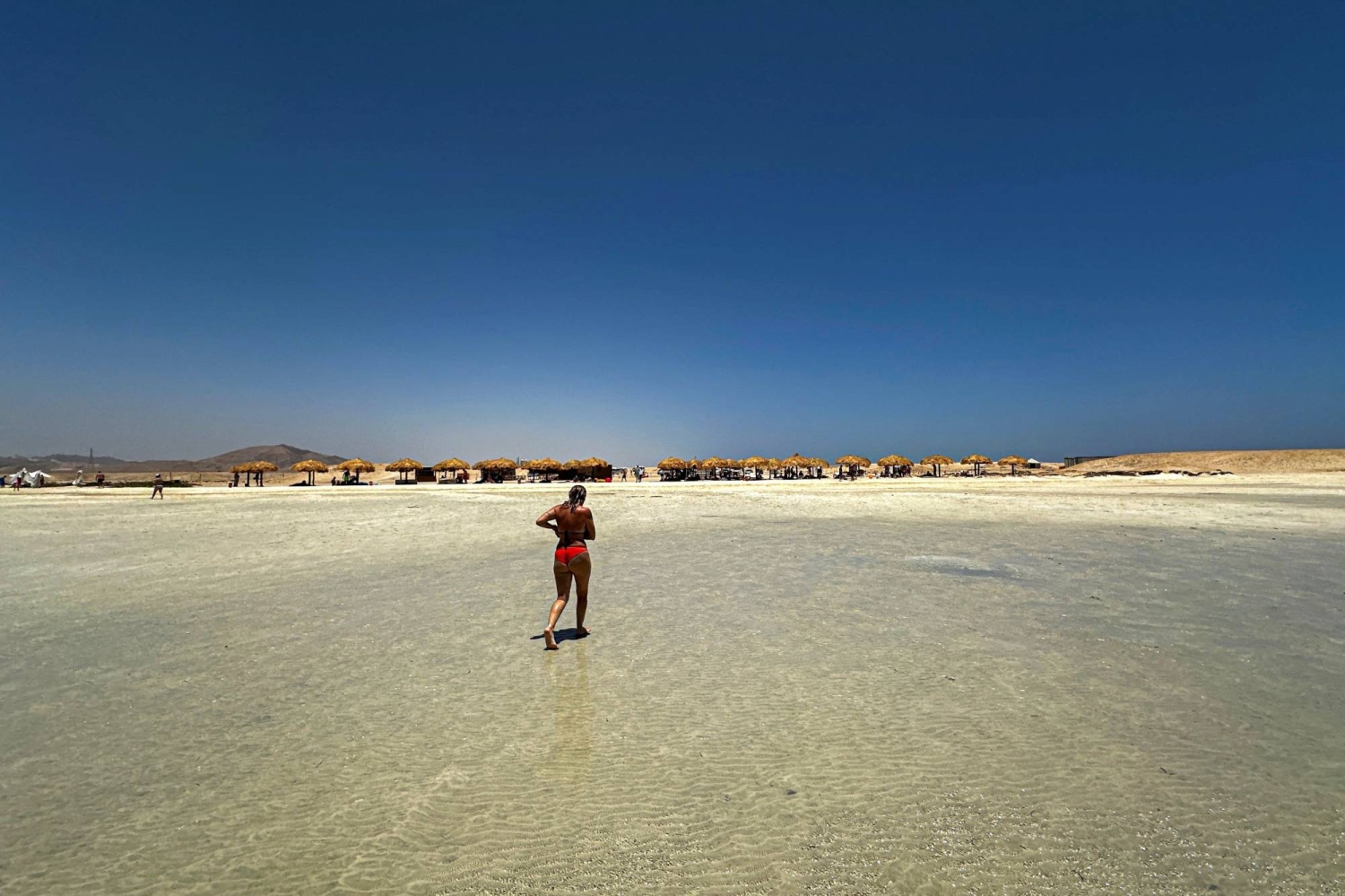 Tourism deal puts one of Egypt's last wild shores at risk