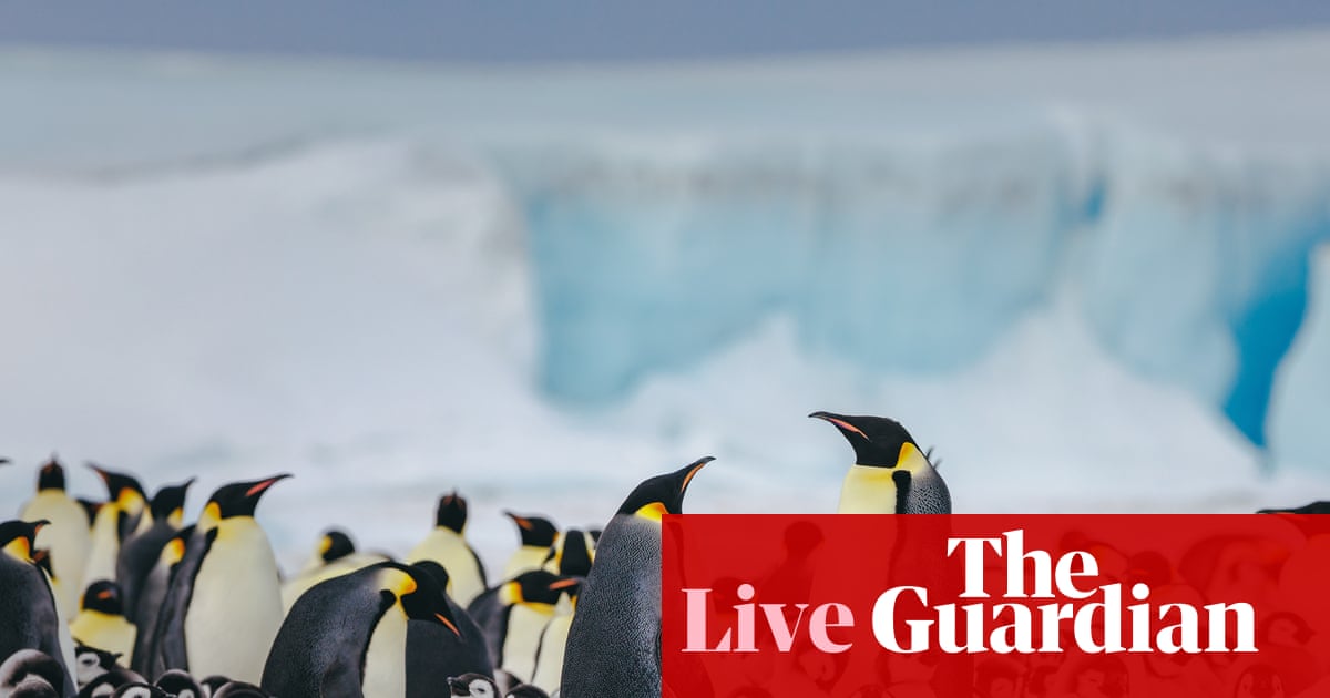 Australia news live: Antarctica at risk of ‘catastrophic’ changes, scientists warn; Lehrmann appeal hearing to continue today | Australia news