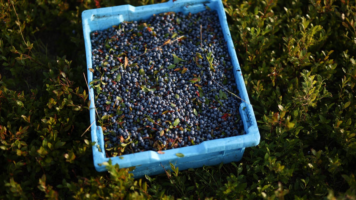 Is farming a good career? Here's what I learned.