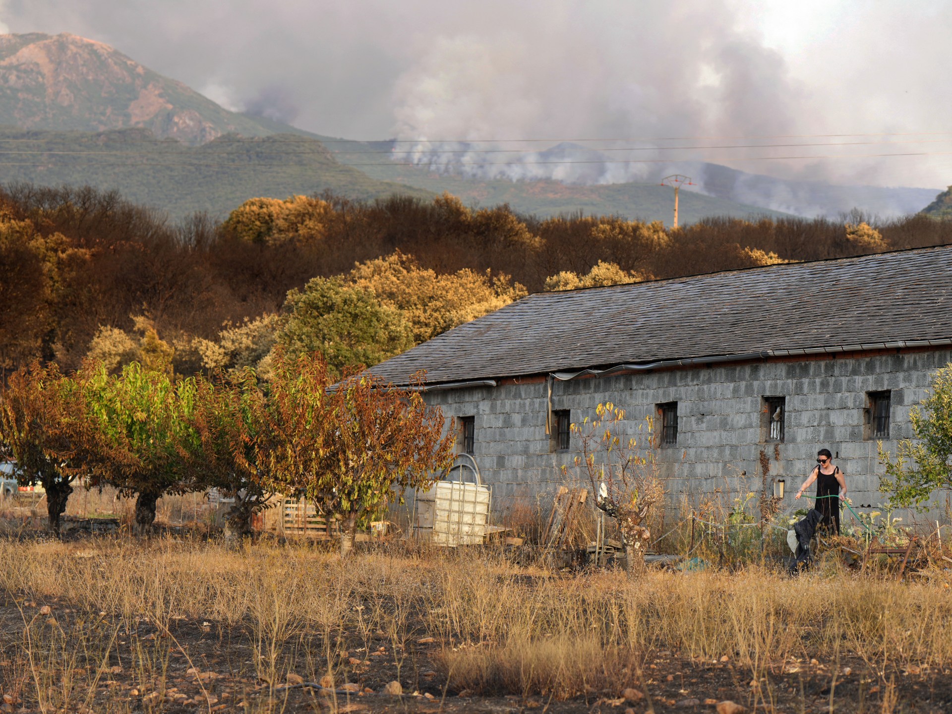 AFP  20250811  69AX7XV  v1  HighRes 1754990920
