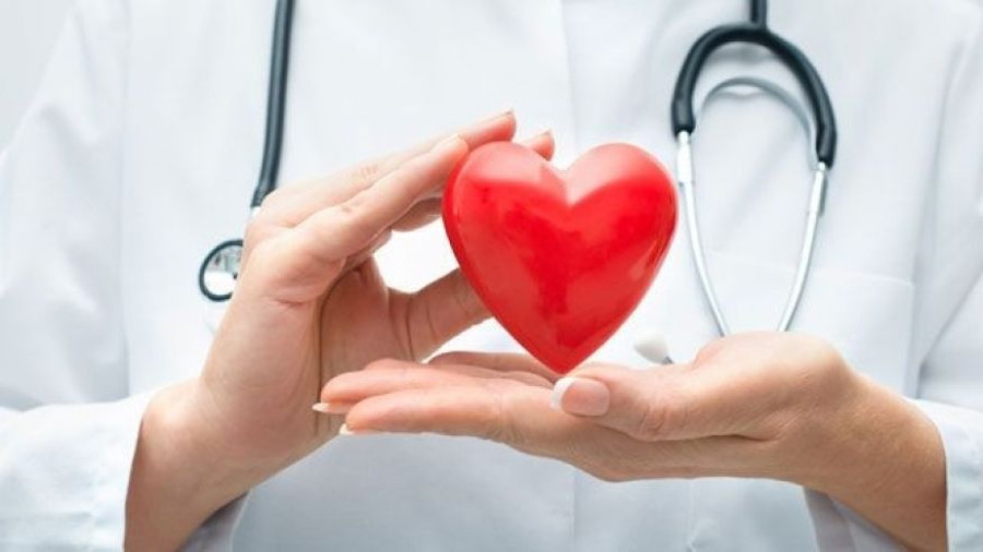 cardiovascular 1755093082