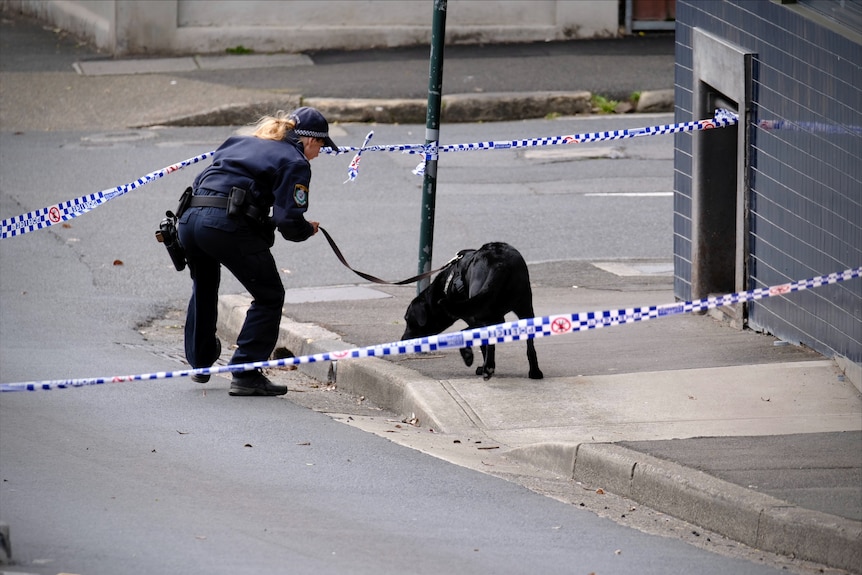 Police to examine possible link between burnt-out sports car and fatal Sydney shooting