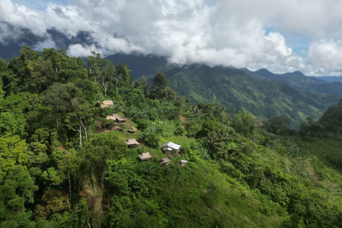 Philippines’ new forest policy wins business backing but alarms green groups