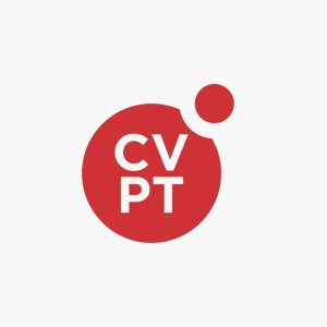 IT Airport Supervisor Job Vacancy at CVPeople Tanzania