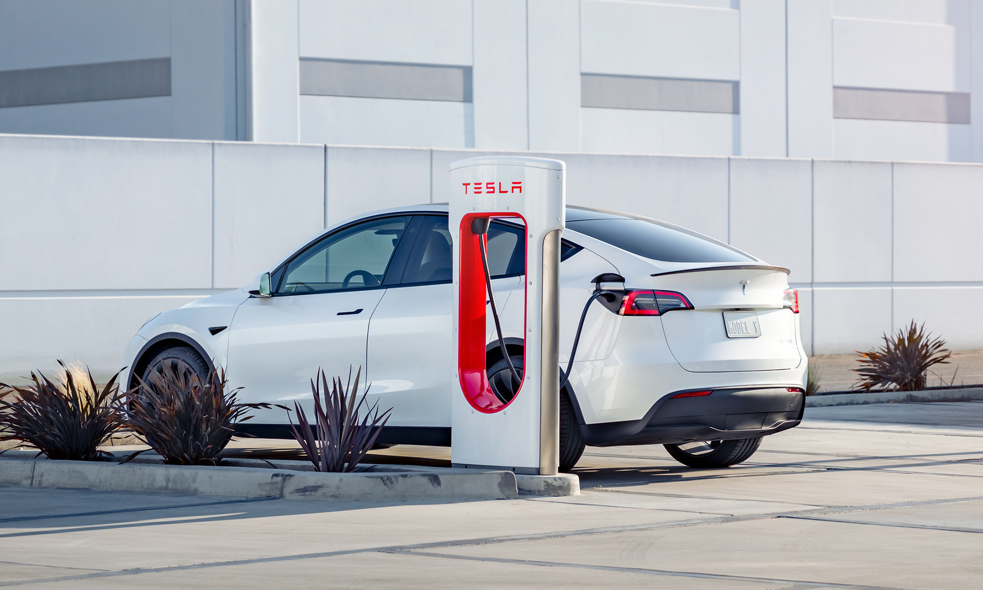 If You'd Invested $10,000 in Tesla Stock 3 Years Ago, Here's How Much You'd Have Today