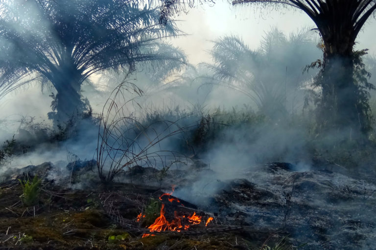 How Indonesian companies dodge fines for forest & peatland fires