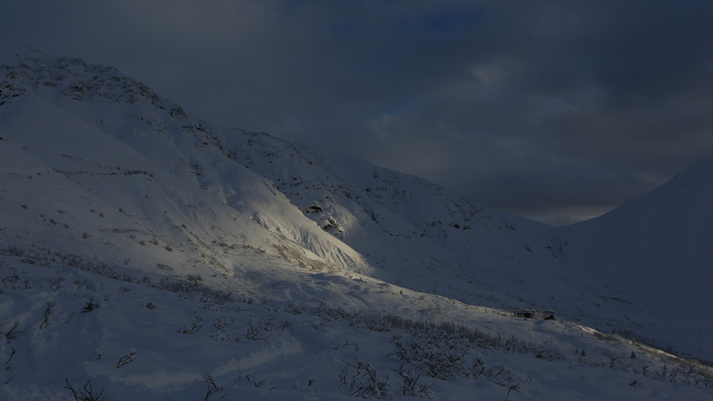 Alaska: The Next Generation on National Geographic WILD HD: full details and when it's on