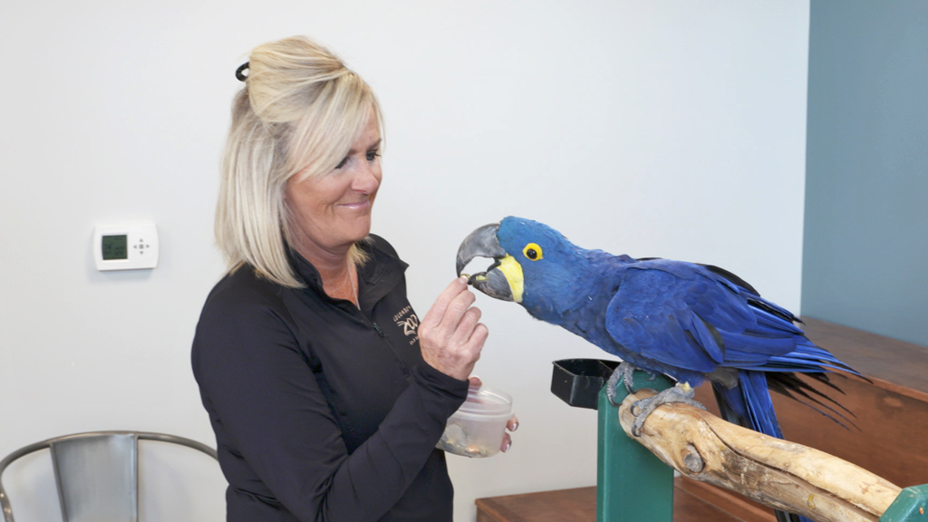 Secrets of the Zoo on National Geographic WILD HD: full details and when it's on