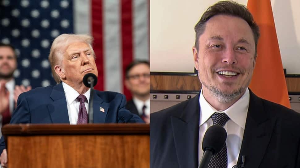 '80% Genius, 20% Problems': Trump Softens Stance On Elon Musk; Hints Billionaire Will 'Return' To Republican Party | World News