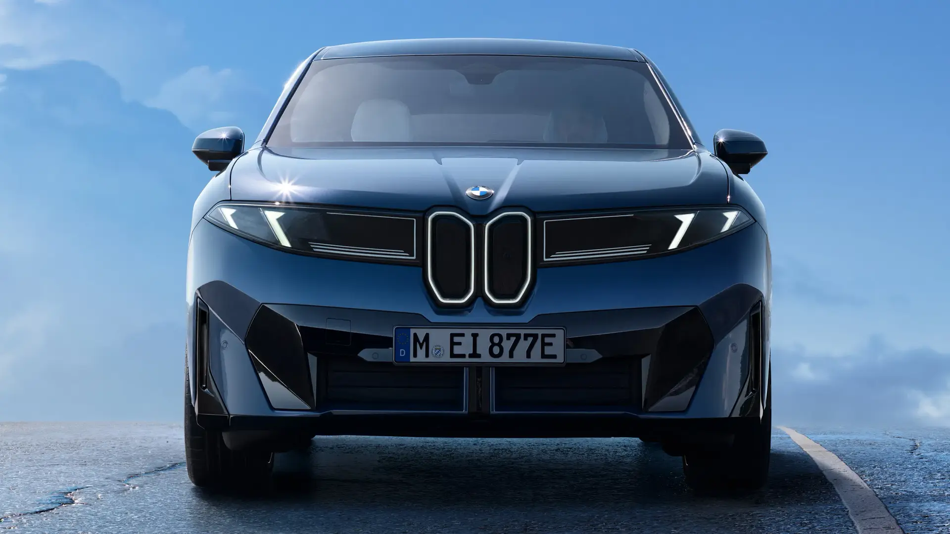 BMW's record investment in new cars 'will not fail', company declares