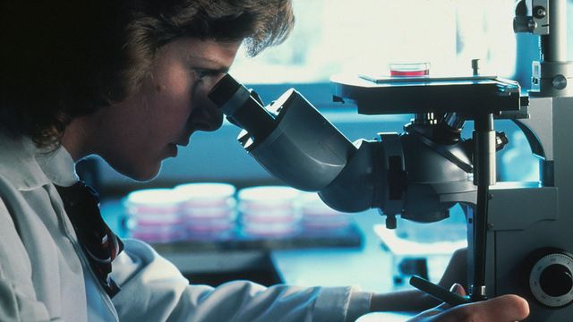 European Research Council Funds 478 Early-Career Researchers