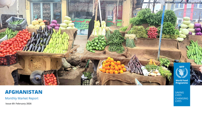 Afghanistan: Monthly Market Report Issue 69: February 2026 - Afghanistan