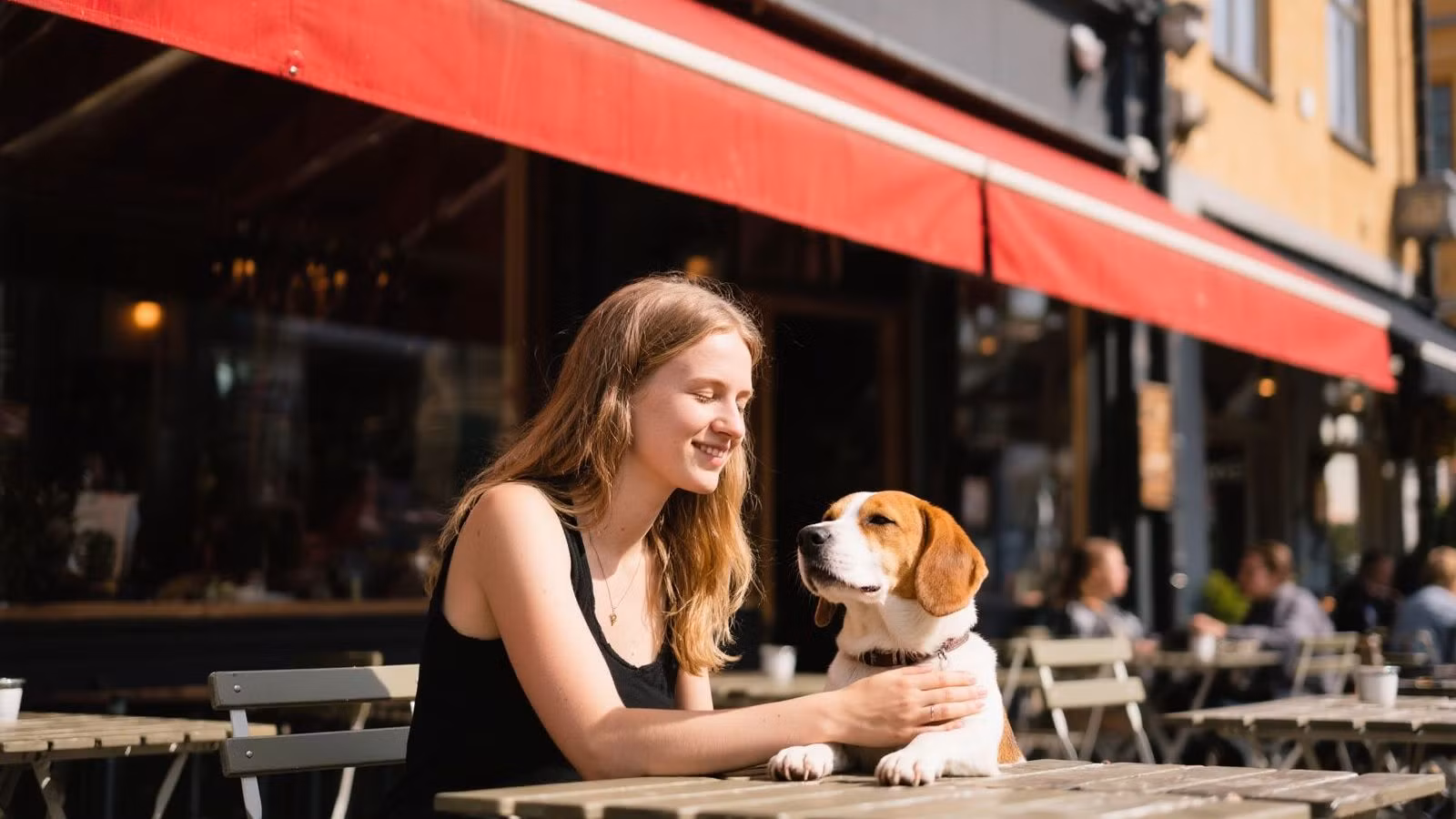 Sambla Group analysis: Over 1,500 summer jobs still available in Sweden – healthcare dominates and jobs are outside the big cities